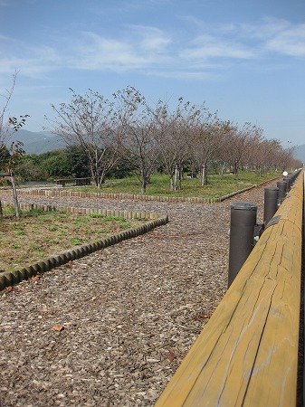 f0195767_9435582.jpg