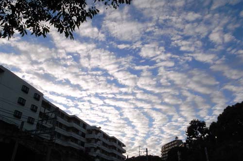 b0008475_18583595.jpg