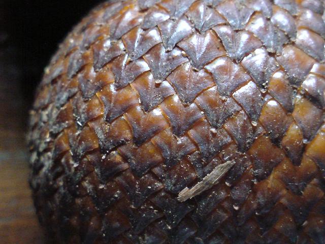 d0038975_20165767.jpg