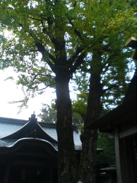 f0054677_19475085.jpg