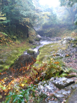 f0054677_19482726.jpg