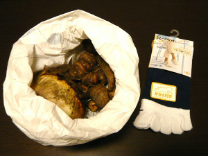 f0018384_1540238.jpg