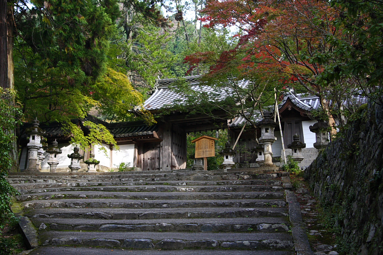 e0051888_1055370.jpg