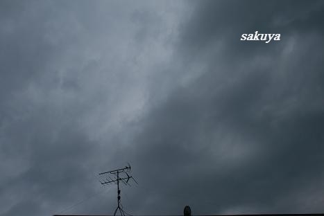 e0122194_21324666.jpg