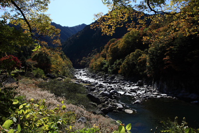 f0103797_14233725.jpg