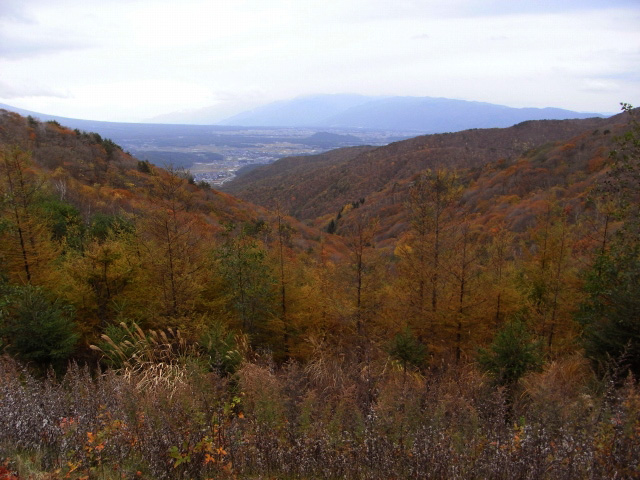 e0122501_17464615.jpg