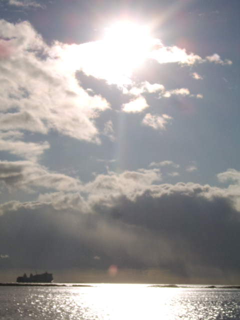 d0115609_14319.jpg