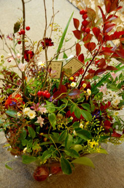 e0082110_1641379.jpg