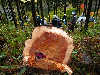 e0002820_2025047.jpg