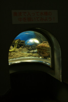f0097620_1302637.jpg