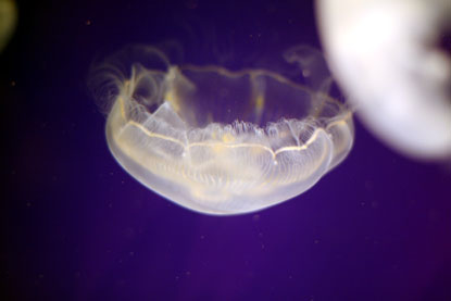 f0137324_2123226.jpg
