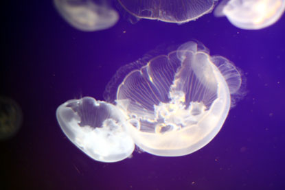 f0137324_2124615.jpg