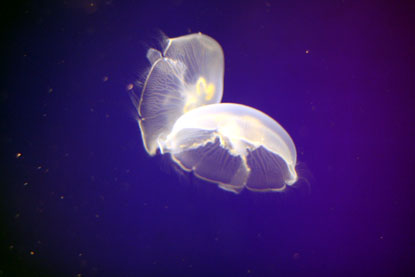 f0137324_213129.jpg