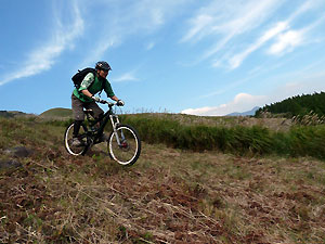 d0023725_1465889.jpg