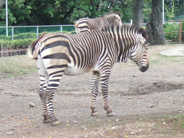 e0064133_215028100.jpg