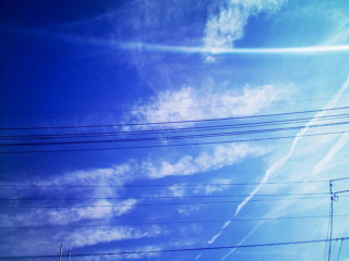a0031338_2341660.jpg