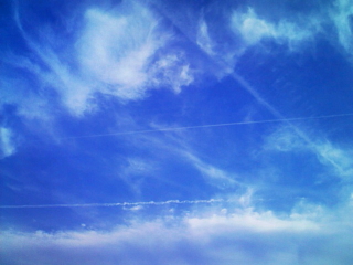 a0031338_234173.jpg