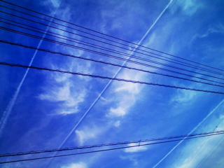 a0031338_2341774.jpg