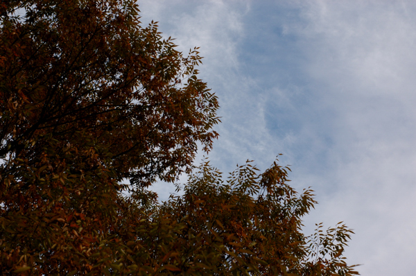 a0082146_045024.jpg