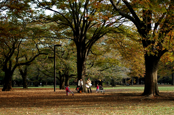 a0082146_057182.jpg