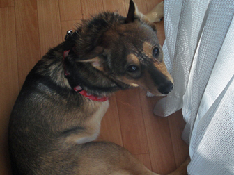 c0086746_7313410.jpg