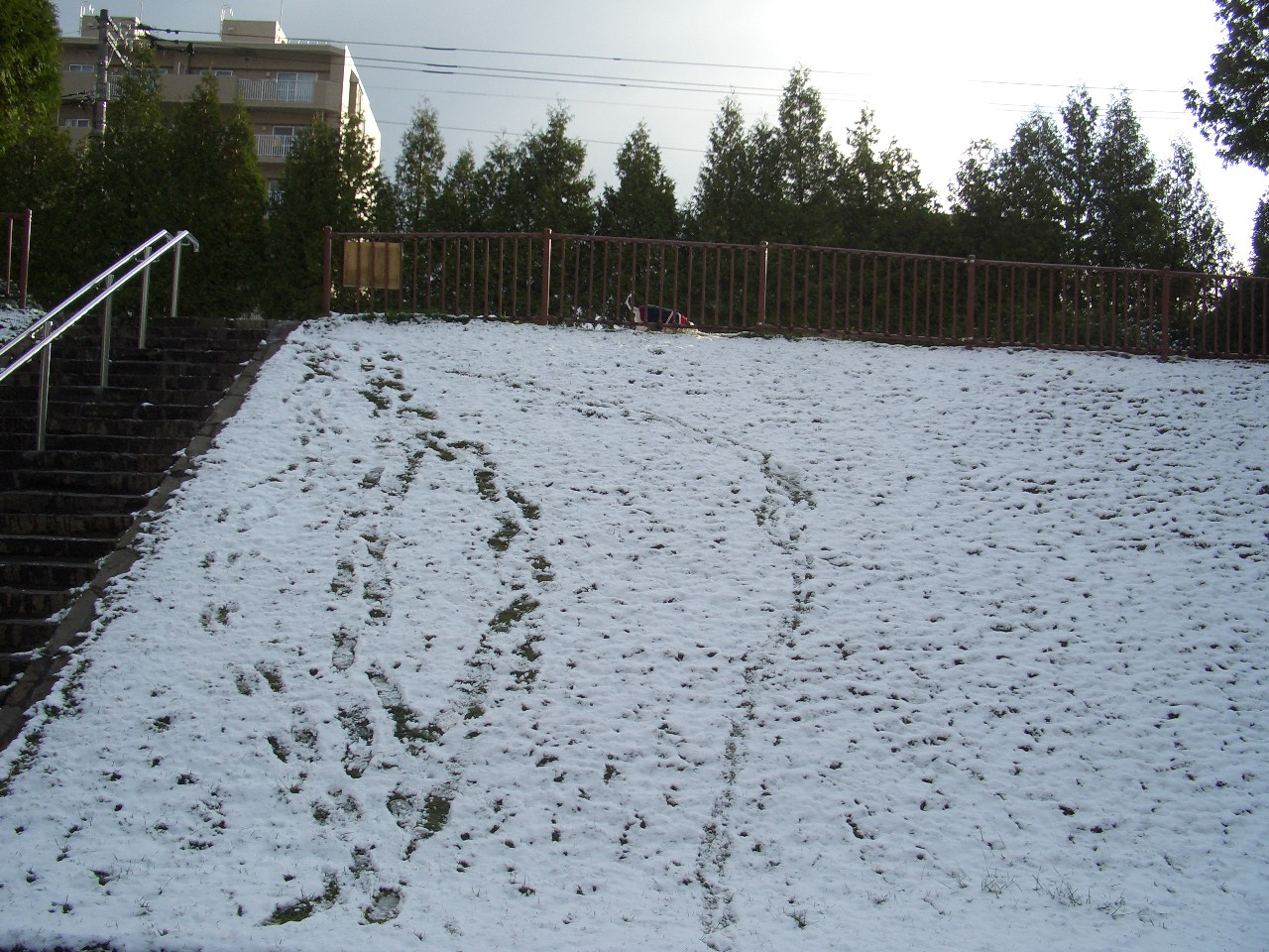 c0179048_8493755.jpg