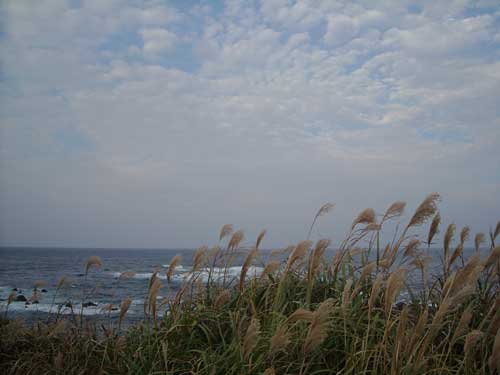 e0097770_13485764.jpg