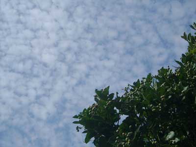 e0097770_13514036.jpg