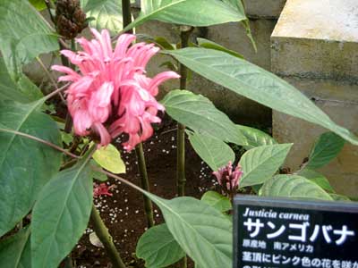e0097770_18312945.jpg