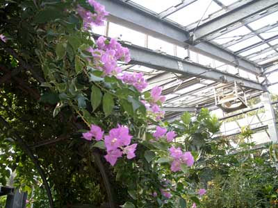 e0097770_18315730.jpg