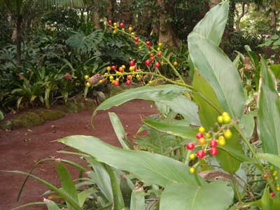 e0097770_183722.jpg