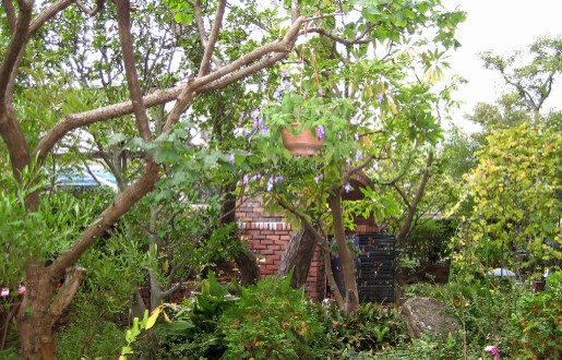 c0009275_23121390.jpg