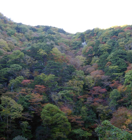 a0091680_2295969.jpg