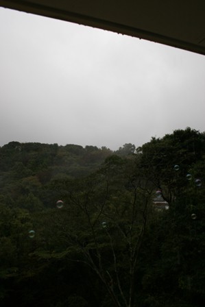 c0108981_21494596.jpg