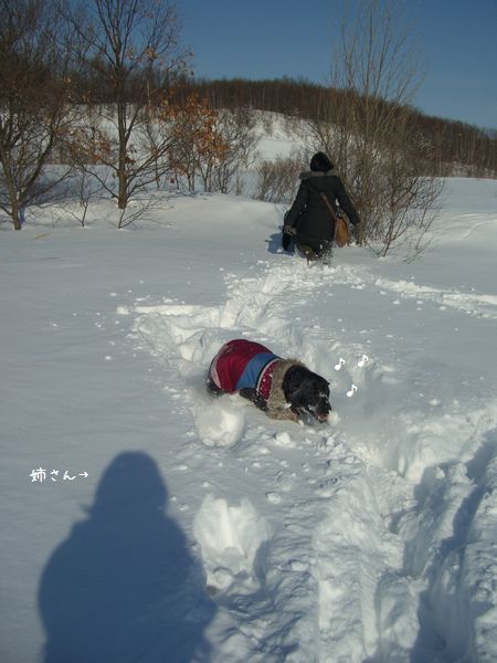 b0000885_10182232.jpg