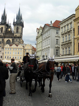 b0014587_126749.jpg