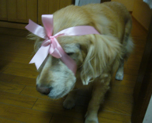 c0085188_2128658.jpg