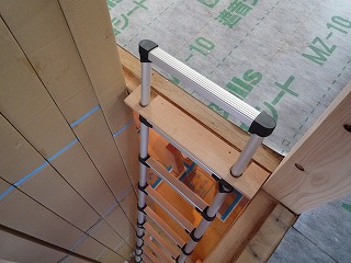 c0160488_1145155.jpg