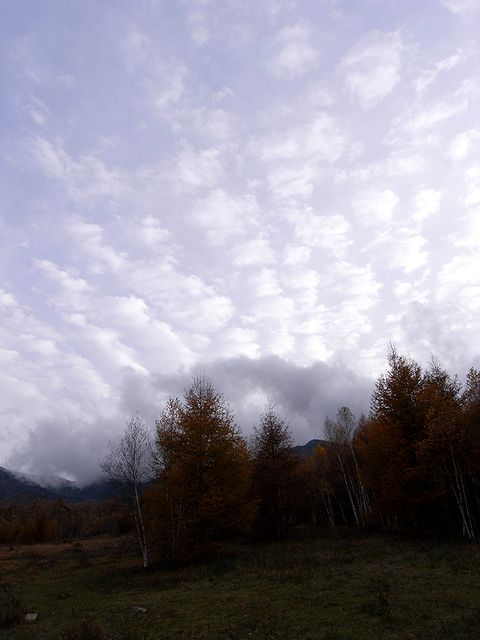 a0093592_092675.jpg