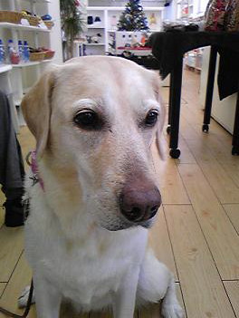 c0028792_21503227.jpg