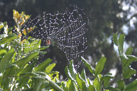 c0033994_11392564.jpg