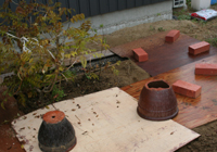 d0100095_1514484.jpg
