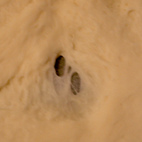 d0100095_1644761.jpg