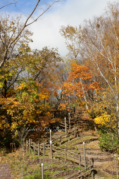 f0001895_13554898.jpg