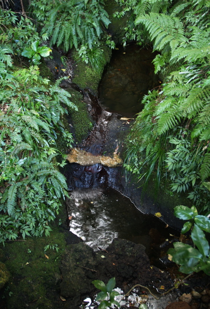 e0089001_23383345.jpg