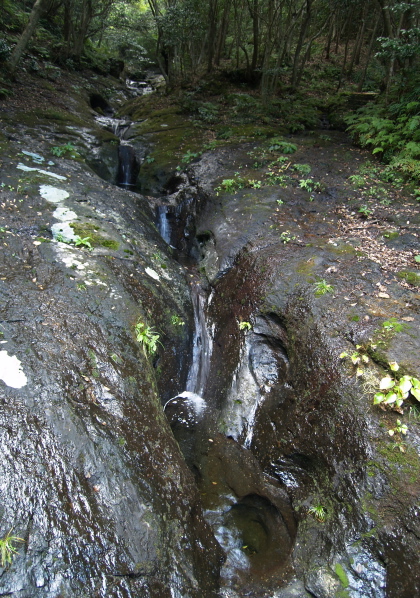e0089001_2344281.jpg