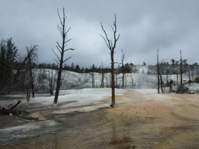 f0024303_13142213.jpg