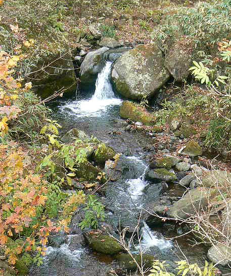 f0164503_1471963.jpg