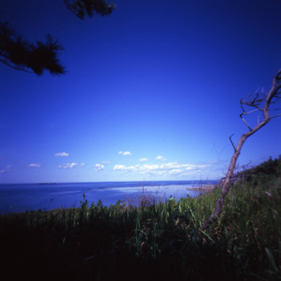 c0016712_20474089.jpg