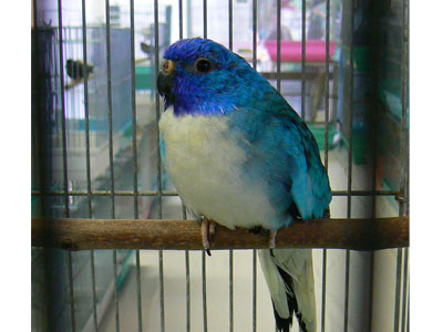 e0148120_23525514.jpg